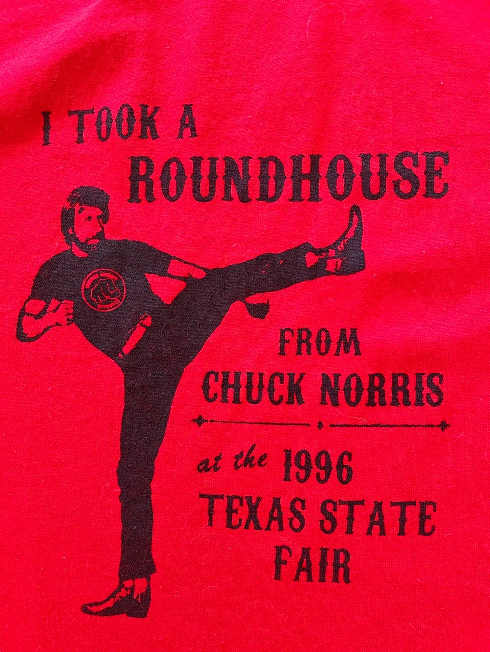Like New ‘I Took A Roundhouse from Chuck Norris” Graphic T-Shirt
